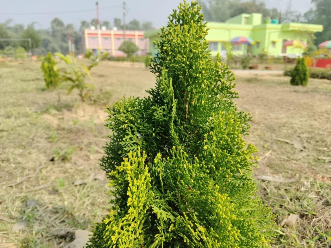 Hotel Olivia And Resort Bankura Exterior photo